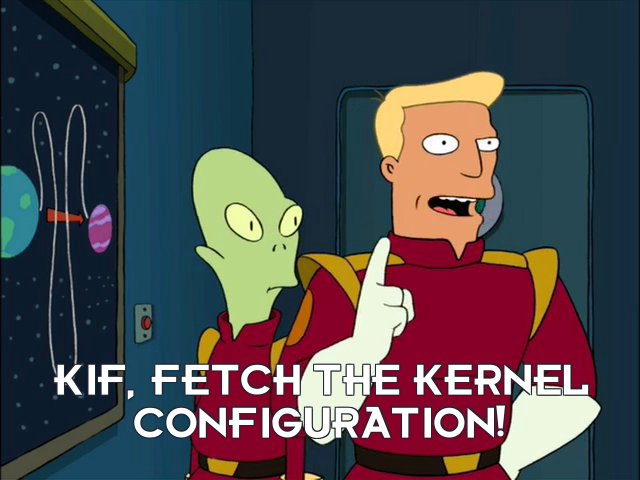 Zapp Brannigan (from Futurama), in his typically over-confident manner, tells Kif to "fetch the kernel configuration!"